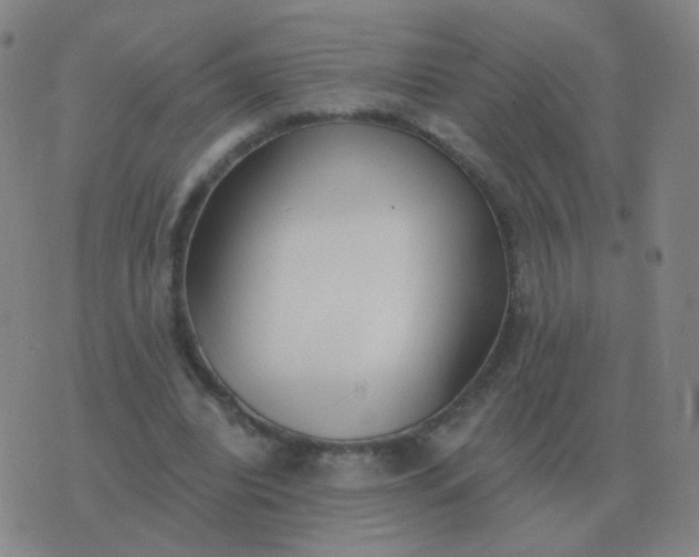 X0000076390440200610202108