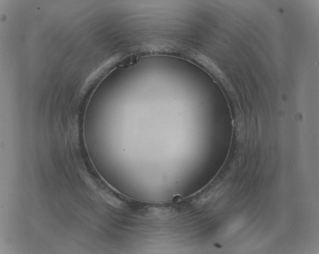 X0000076390442200610202108