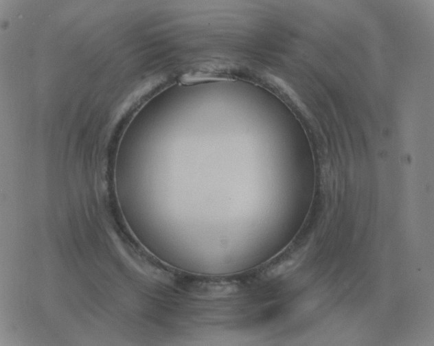 X0000076390443200610202108