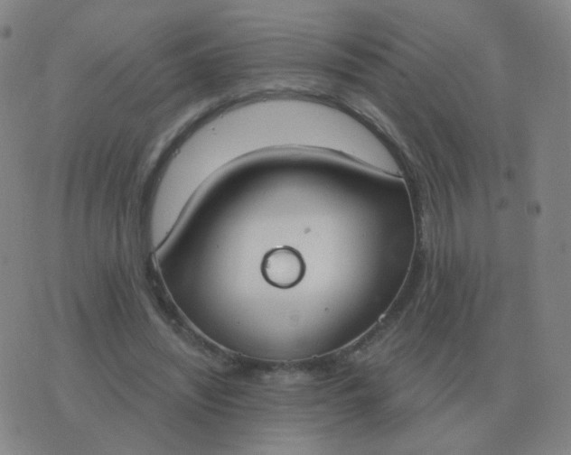 X0000076390444200610202108