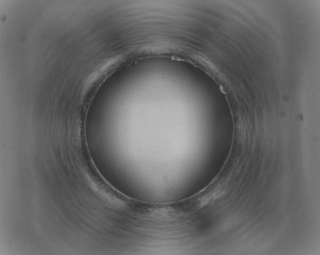 X0000076390446200610202108