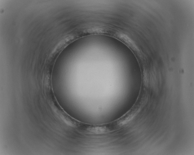 X0000076390449200610202108