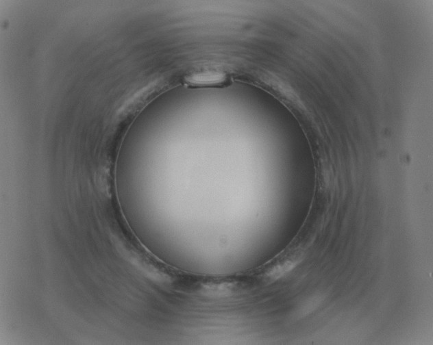 X0000076390450200610202108