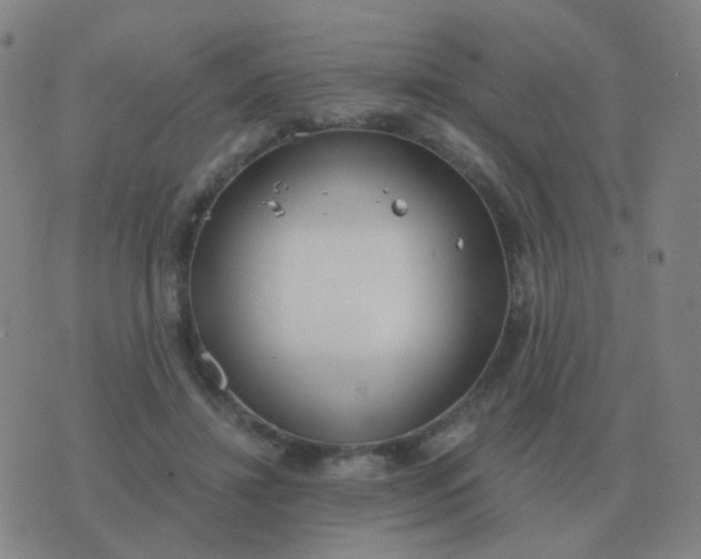 X0000076390452200610202108