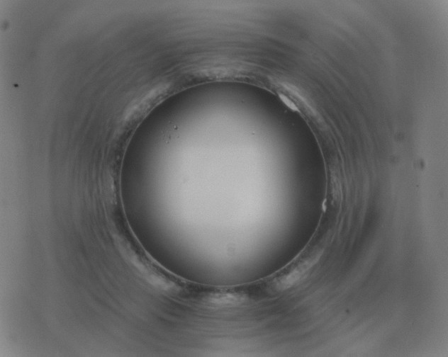 X0000076390453200610202108