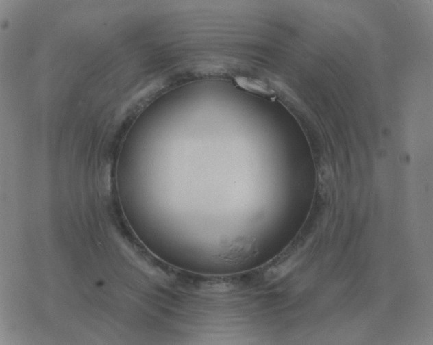 X0000076390454200610202108