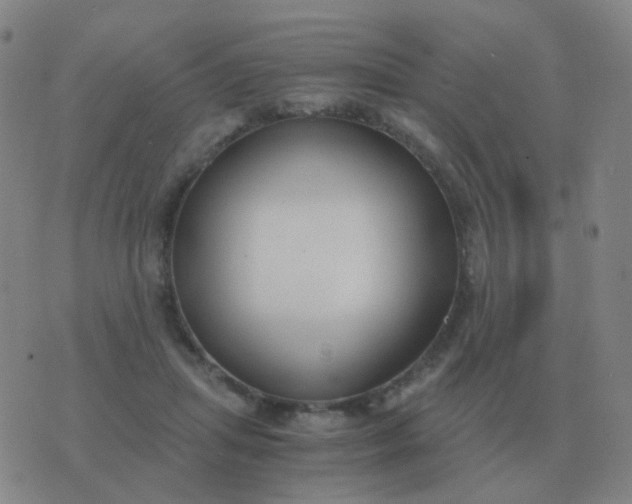 X0000076390455200610202108