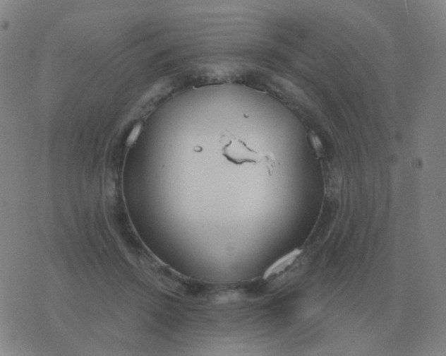 X0000076390456200610202108