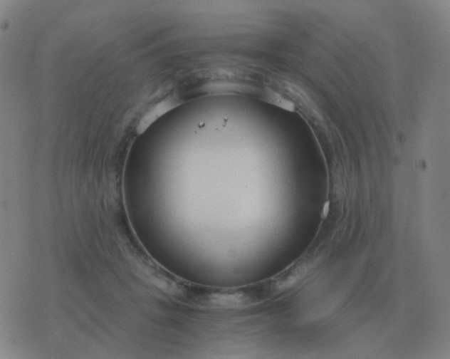 X0000076390457200610202108