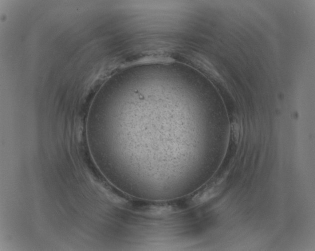 X0000076390458200610202108