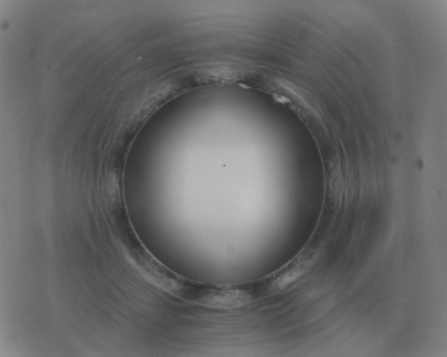 X0000076390459200610202108