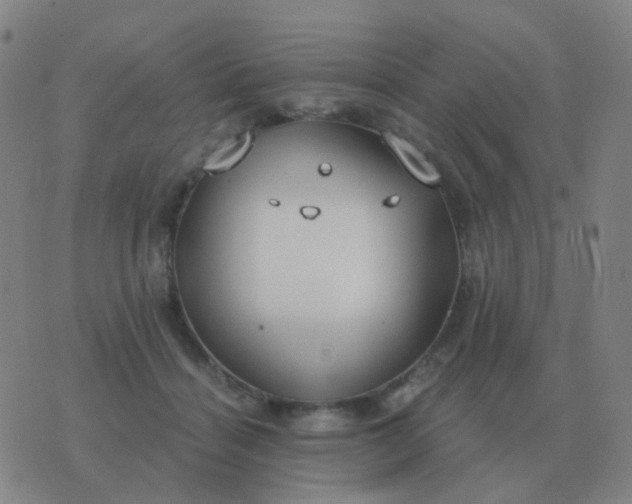 X0000076390460200610202108