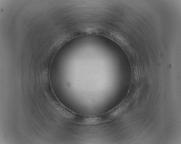 X0000076390461200610202108