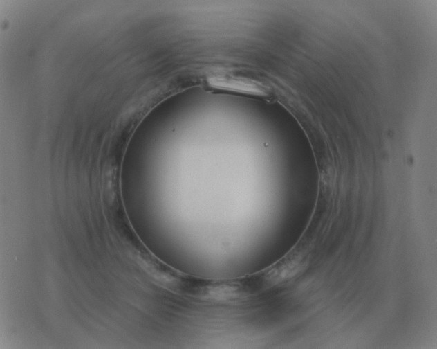 X0000076390462200610202108