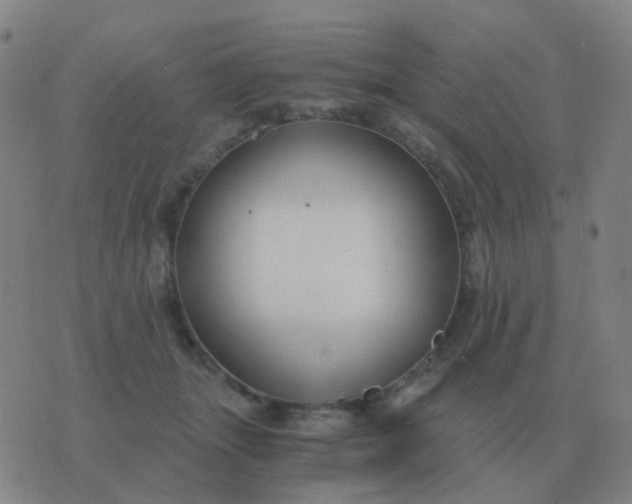 X0000076390463200610202109