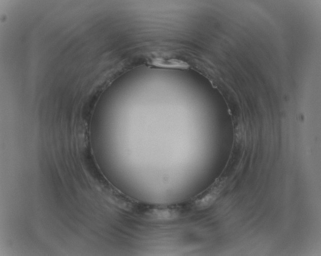 X0000076390464200610202109