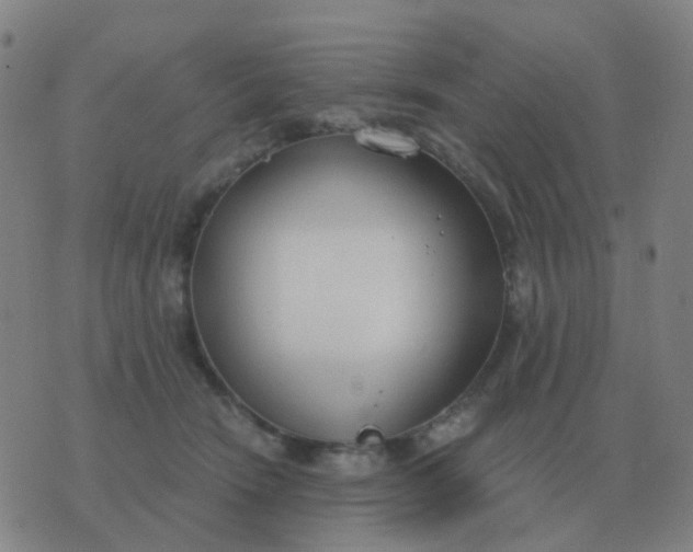 X0000076390466200610202109