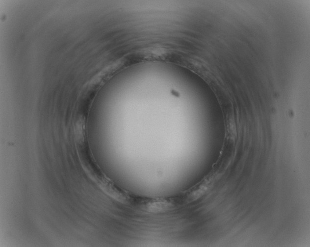 X0000076390468200610202109