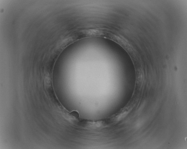 X0000076390469200610202109