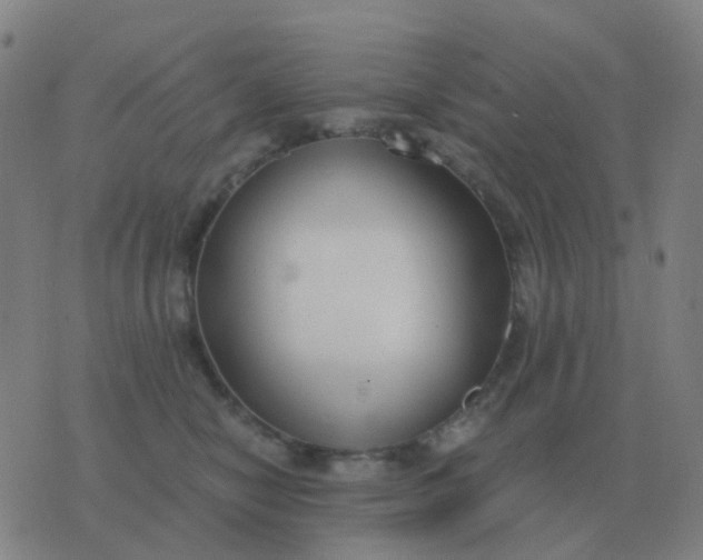 X0000076390470200610202109