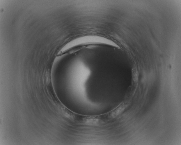 X0000076390471200610202109