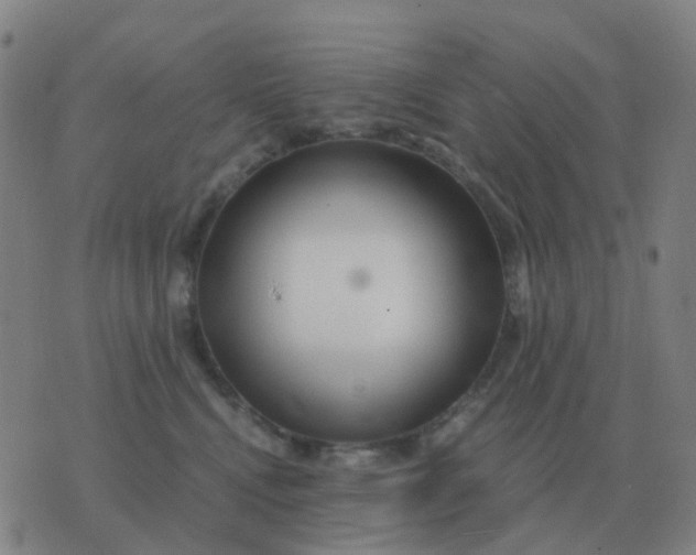 X0000076390472200610202109