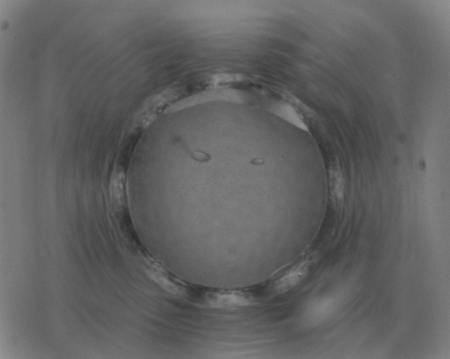 X0000076390475200610202109