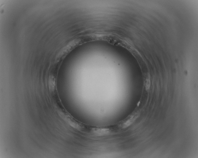 X0000076390476200610202109