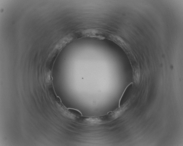 X0000076390477200610202109