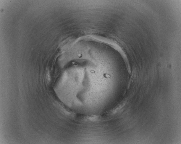 X0000076390479200610202109