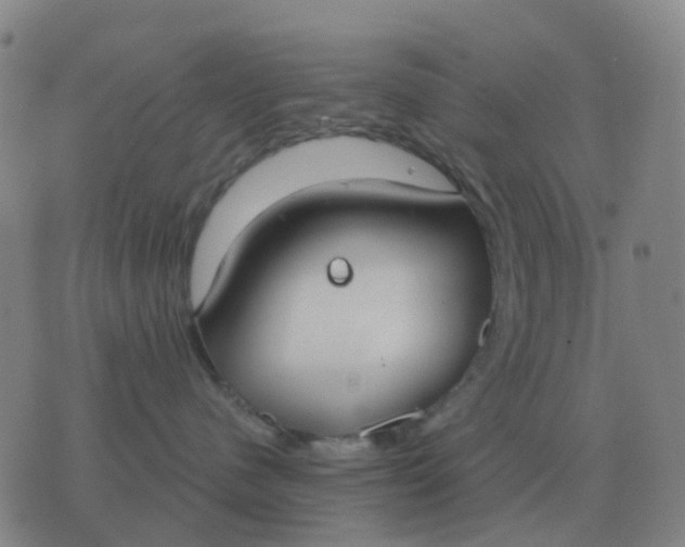 X0000076390480200610202109