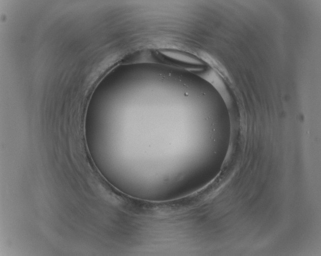 X0000076390481200610202108