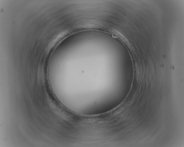 X0000076390482200610202108