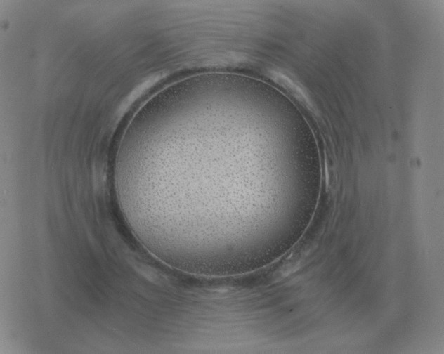 X0000076390483200610202108