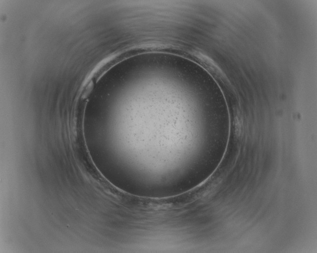 X0000076390484200610202108