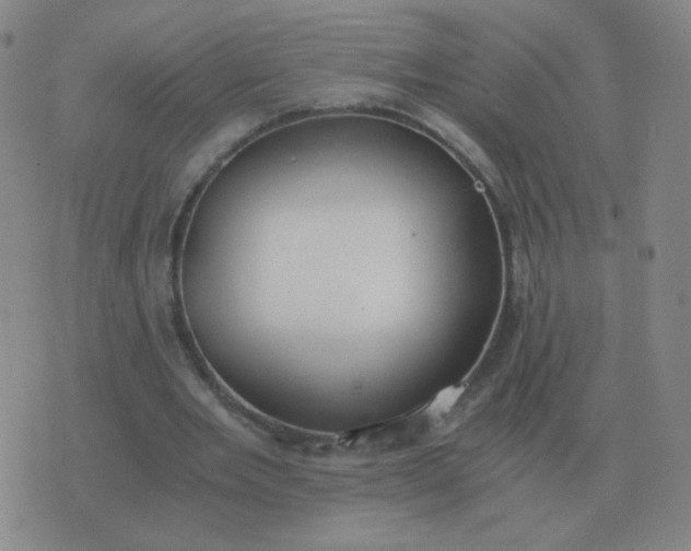 X0000076390485200610202108