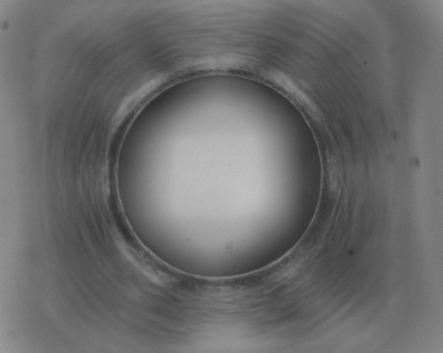 X0000076390486200610202108