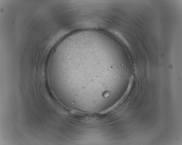 X0000076390487200610202108