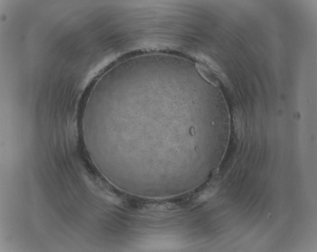 X0000076390488200610202108