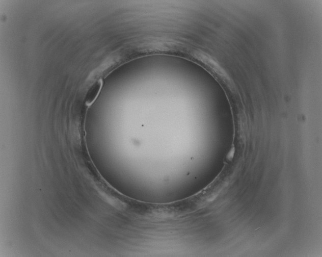 X0000076390489200610202108