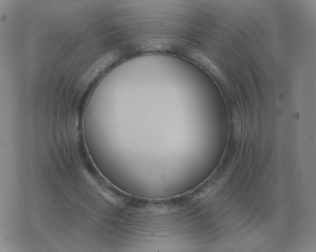 X0000076390490200610202108