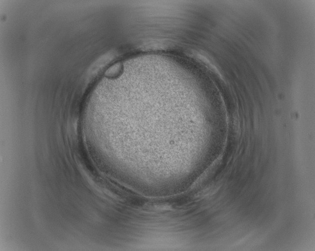 X0000076390491200610202108