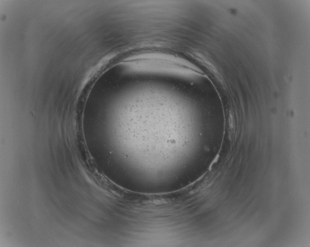 X0000076390492200610202108