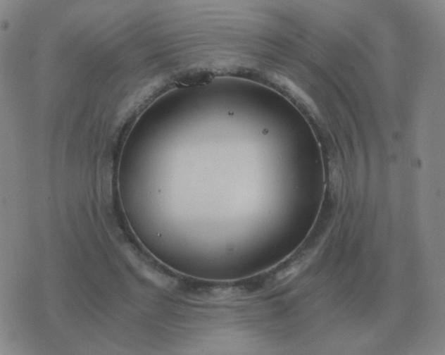 X0000076390493200610202108