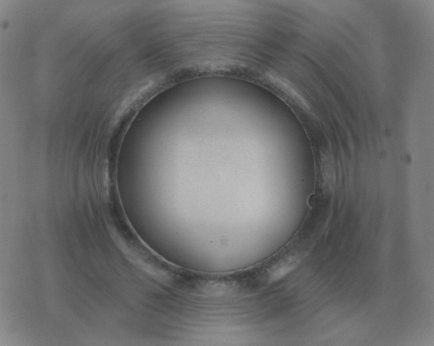 X0000076390494200610202108