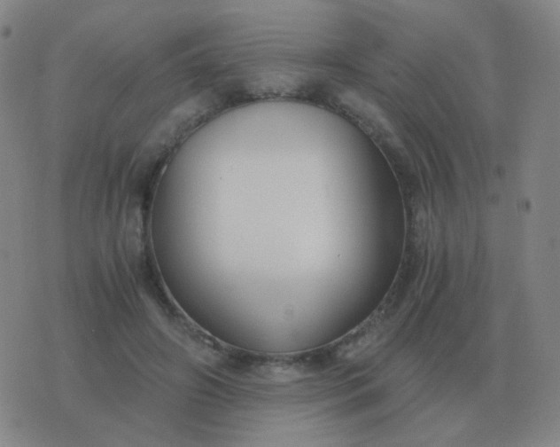 X0000076390498200610202108