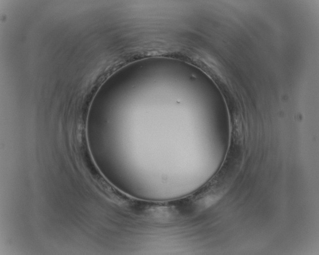 X0000076390499200610202108