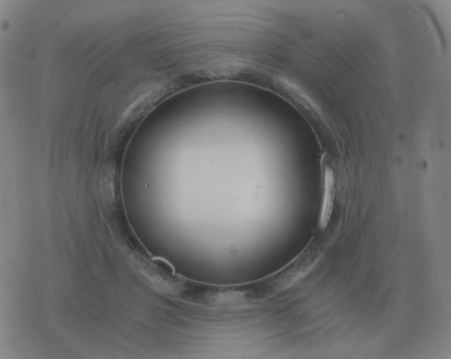 X0000076390501200610202108