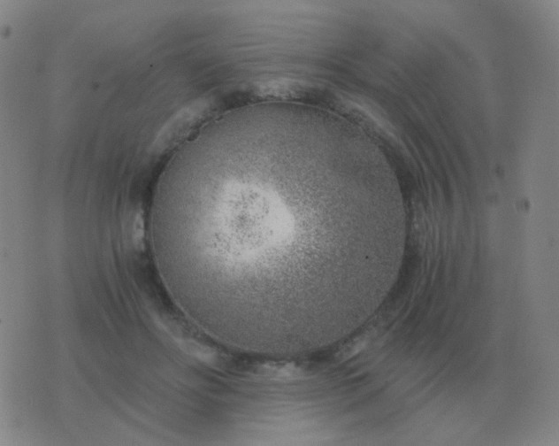 X0000076390502200610202108