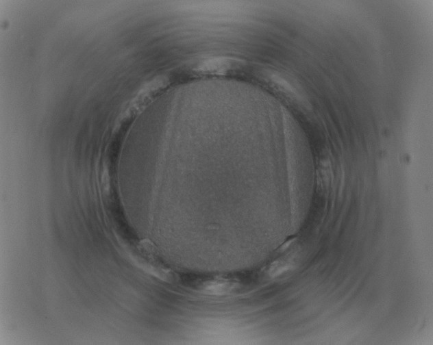 X0000076390504200610202108